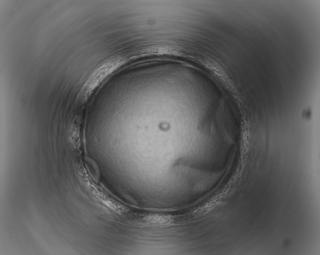 X0000115690977200912031438