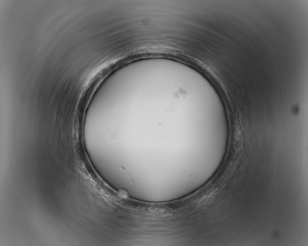 X0000115690979200912031438