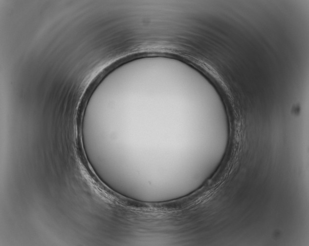 X0000115690980200912031438