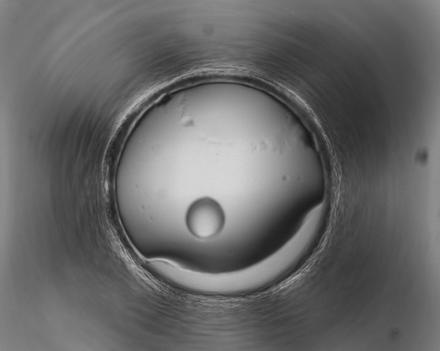 X0000115690981200912031438