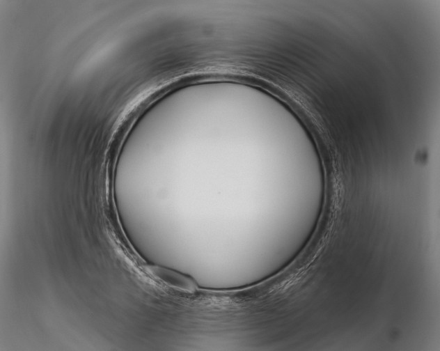 X0000115690982200912031438