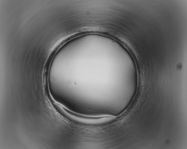 X0000115690983200912031438