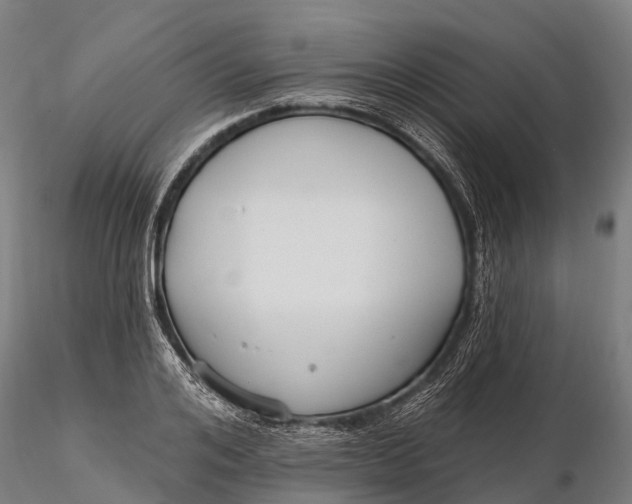 X0000115690984200912031438