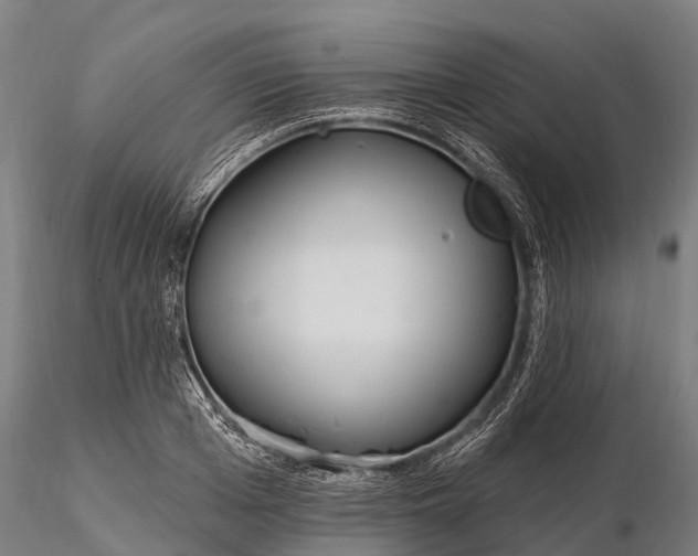 X0000115690985200912031438