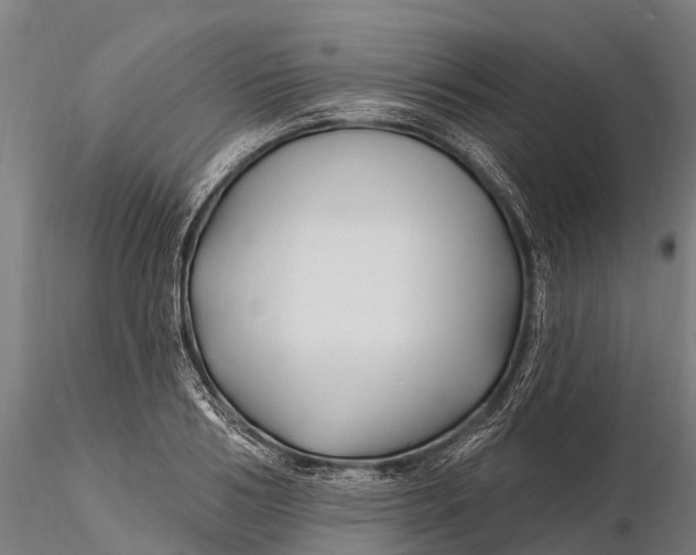 X0000115690986200912031438