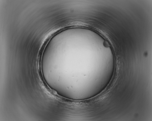 X0000115690987200912031438