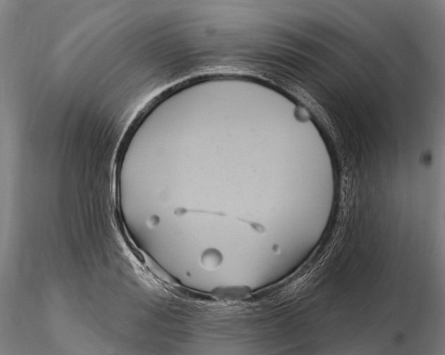 X0000115690988200912031438