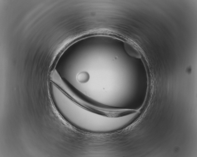 X0000115690989200912031438