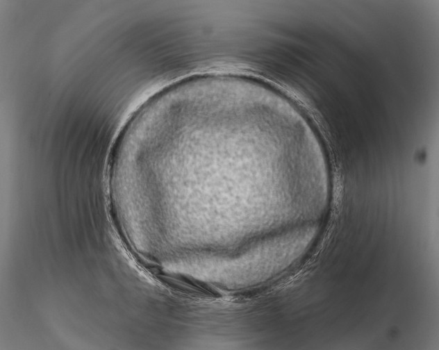 X0000115690990200912031438