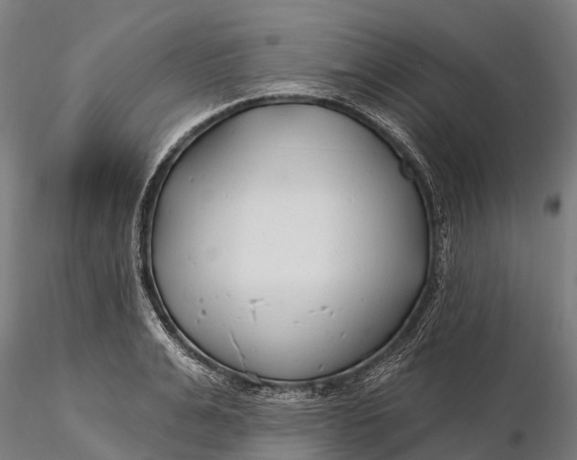 X0000115690991200912031438