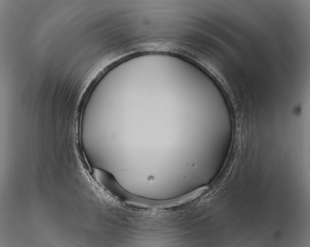 X0000115690992200912031438