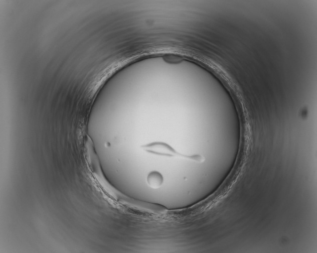 X0000115690993200912031438