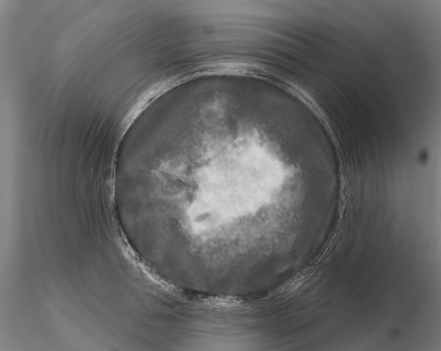 X0000115690994200912031438