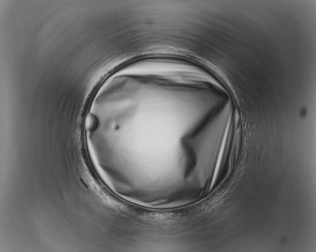 X0000115690995200912031438