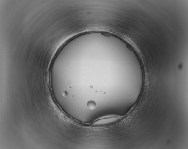 X0000115690996200912031438