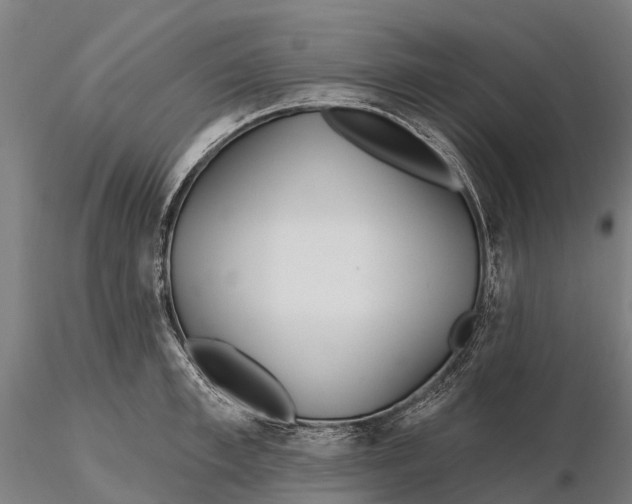 X0000115690997200912031438