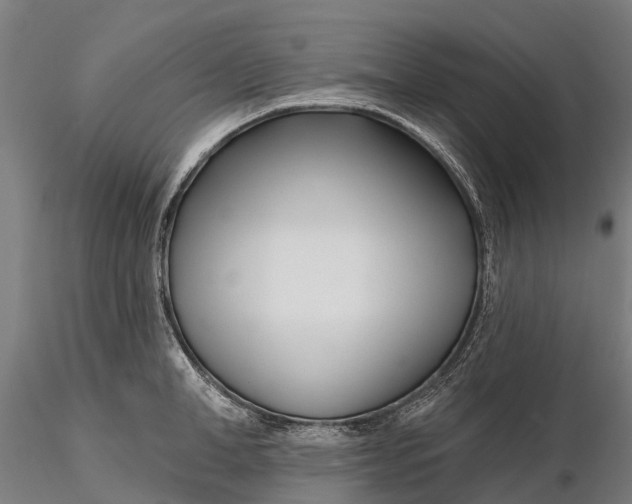 X0000115690998200912031438