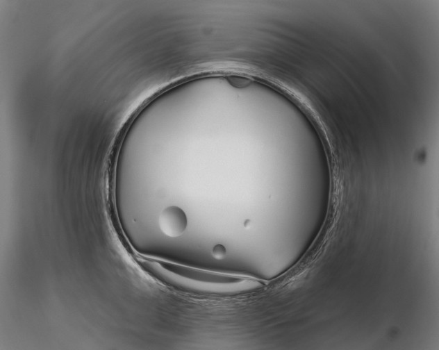 X0000115690999200912031438