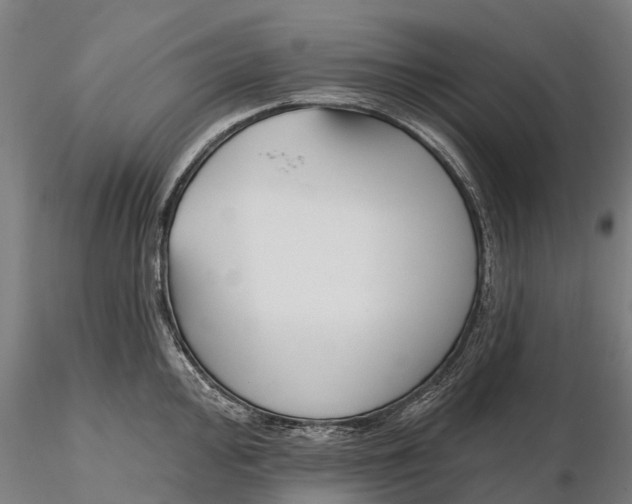 X0000115691000200912031438