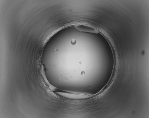 X0000115691001200912031438