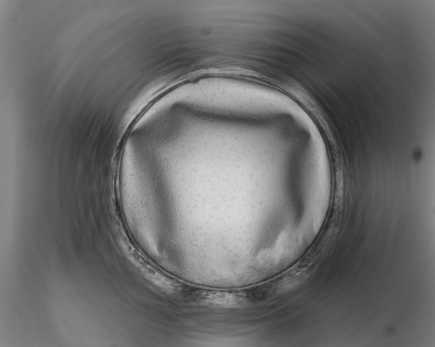 X0000115691002200912031438