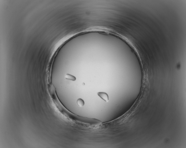 X0000115691003200912031438