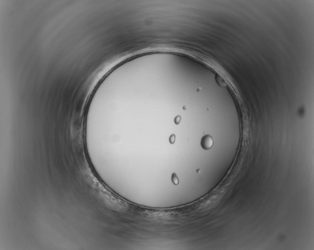 X0000115691004200912031438