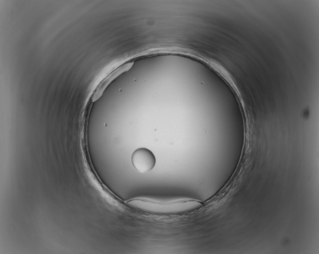 X0000115691005200912031438