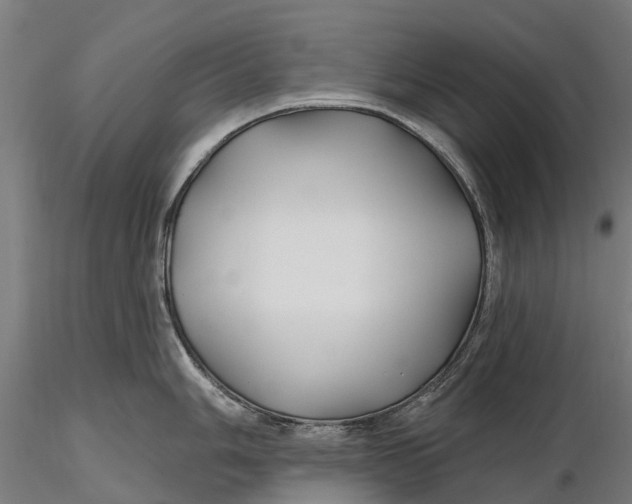 X0000115691006200912031438