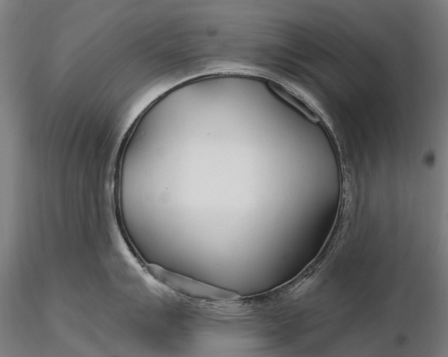 X0000115691007200912031438