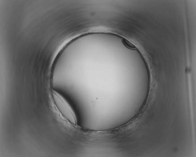 X0000115691008200912031438