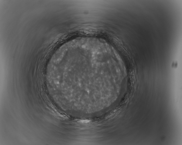 X0000115691009200912031437