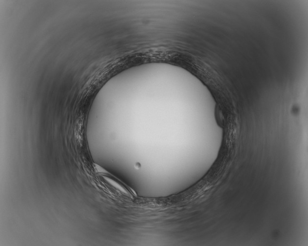 X0000115691010200912031437