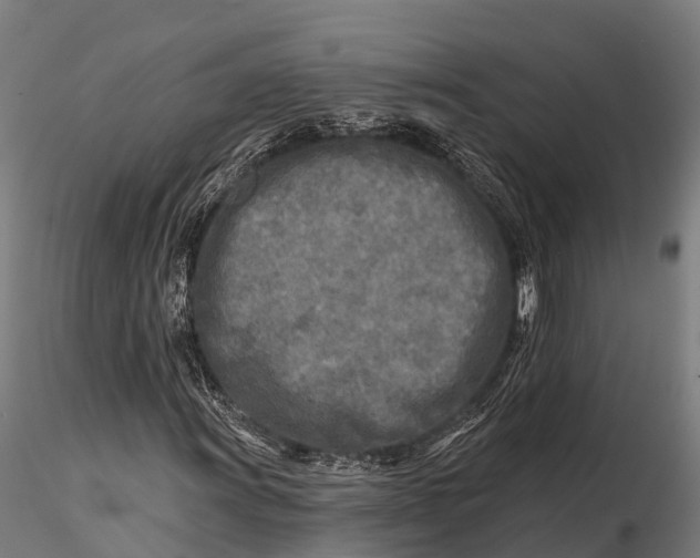 X0000115691011200912031437