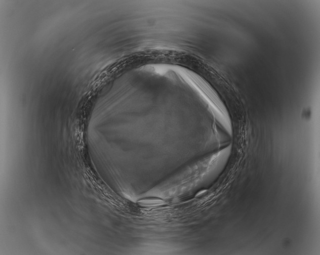 X0000115691013200912031437