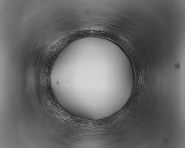 X0000115691014200912031437