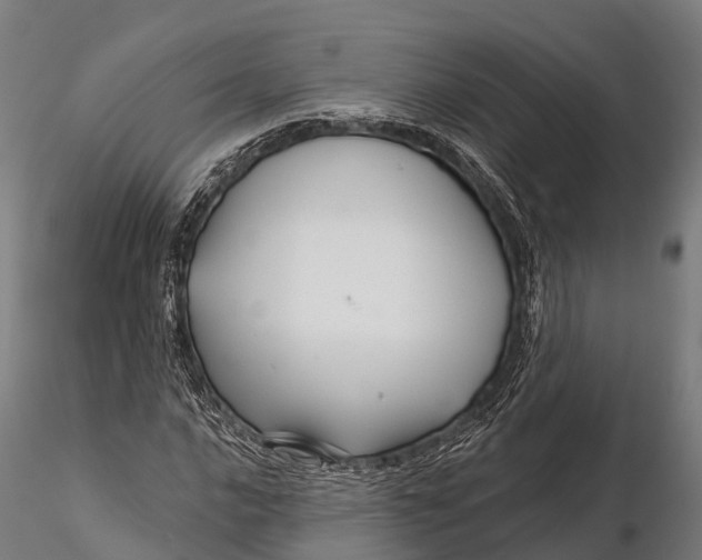 X0000115691016200912031437