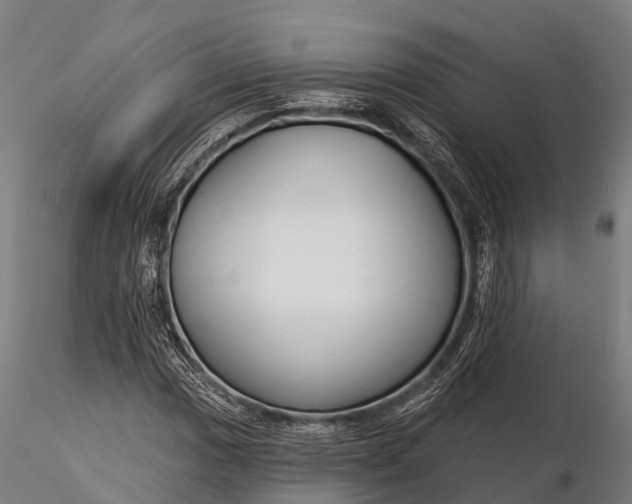 X0000115691017200912031437