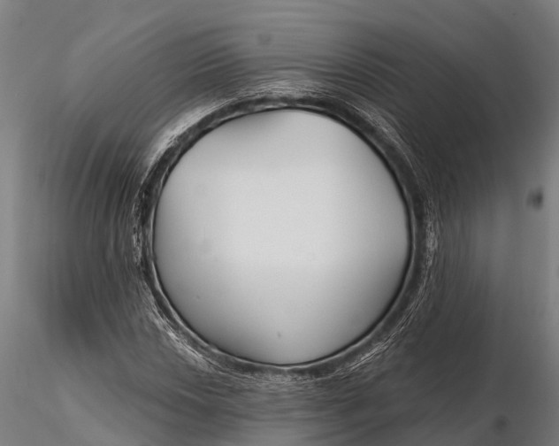 X0000115691018200912031437