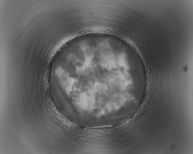 X0000115691019200912031437