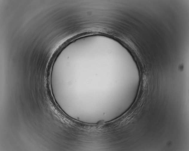 X0000115691020200912031437