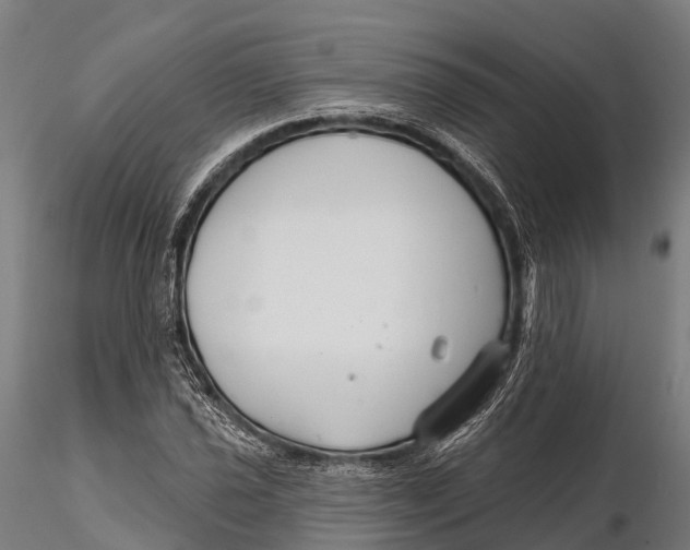 X0000115691021200912031437