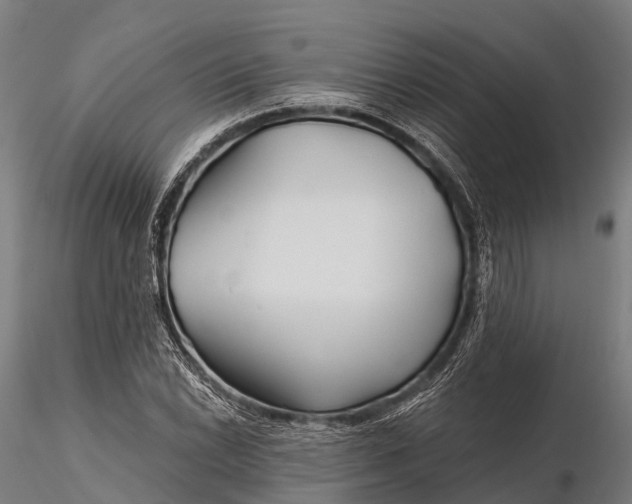 X0000115691022200912031437