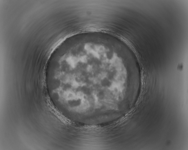 X0000115691023200912031437