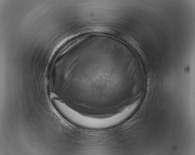 X0000115691024200912031437