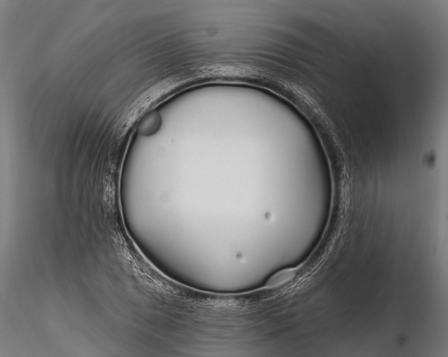 X0000115691025200912031437