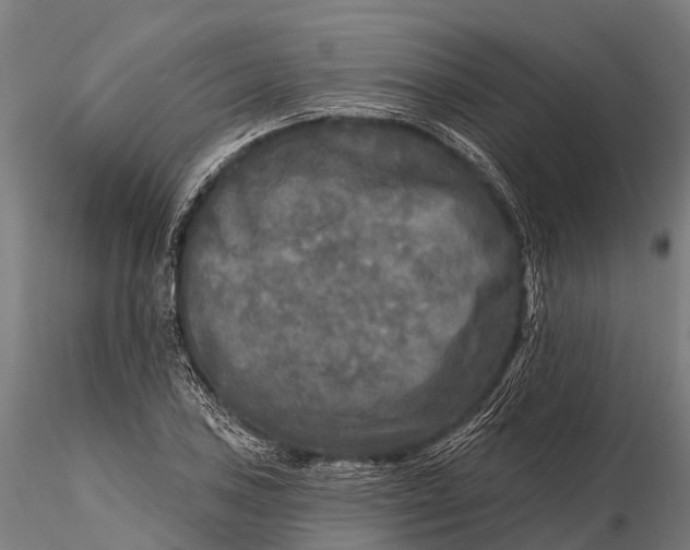 X0000115691027200912031437