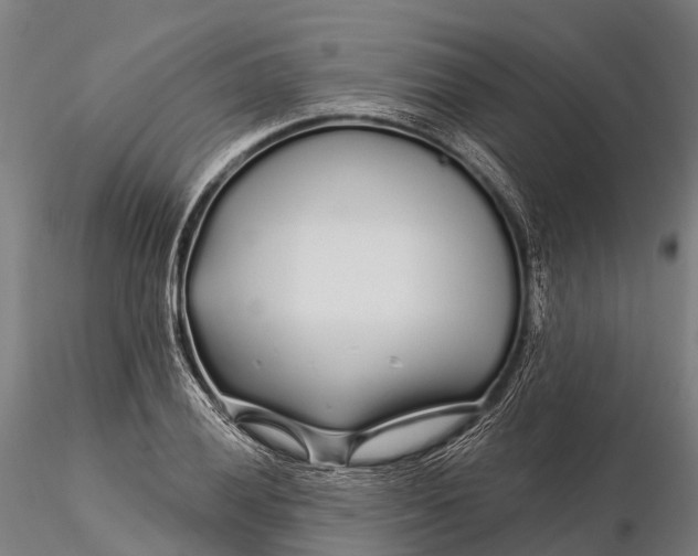 X0000115691028200912031437