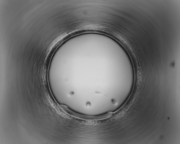 X0000115691029200912031437