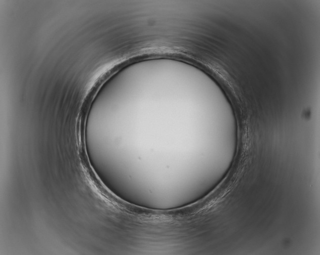 X0000115691030200912031437